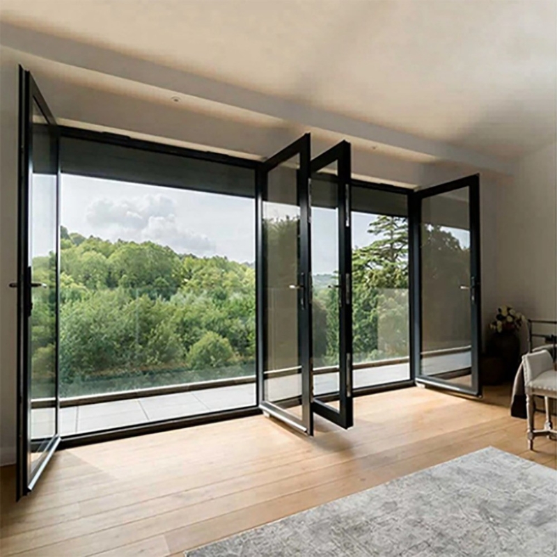 Porta francese in alluminio standard australiano, design minimalista, doppio vetro esterno